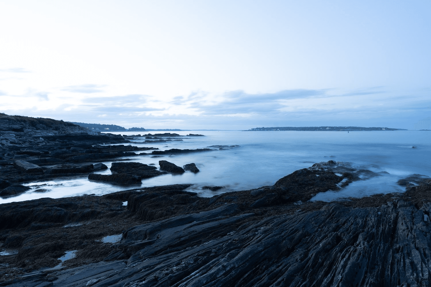Blog